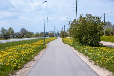 Sarı karahindiba, sokak lambaları ve elektrik direkleriyle çevrili asfalt bir yol. Solda bir yol var, sağında ağaçlar ve çalılar bulutlu bir gökyüzünün altında..