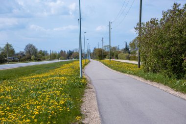 Sarı karahindiba, seyrek ağaçlar, çalılar ve bulutlu bir gökyüzünün altındaki uzak evlerle çevrili asfalt bir yol boyunca uzanır..