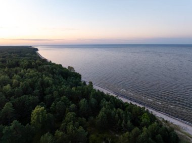 Eğri bir kıyı şeridi boyunca sık ağaçlarla dolu kıyı manzarası sakin suyla buluşuyor. Ufuk, alacakaranlıkta renk değişimini gösterir..