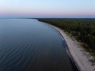 Sakin bir su kütlesi sık bir ormanla çevrili kumlu bir plajla karşılaşır. Ufuk yumuşak renk eğimlerini gösterir, güneşin doğuşunu ya da batışını gösterir..