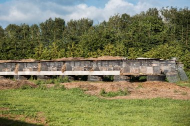 Lastiklerin üzerinde samanların etrafa saman saçıldığı bir sıra tel örgü tavşan kafesi. Bölgede çimenler, kir ve parçalı bulutlu bir gökyüzünün altında uzun ve sık ağaçlarla çevrili..