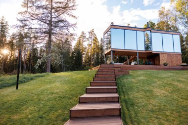 Çimenli yamaçta geniş cam paneller ve açısal tasarımı olan modern ahşap ev, dalların arasından süzülen uzun ağaçlarla çevrili..