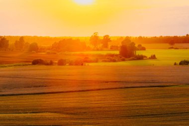 Canlı günbatımı tarımsal tarlalara altın ışık saçıyor. Ekinler, dağınık ağaçlar ve çalılar derinlik ve kontrastlık yaratıyor..
