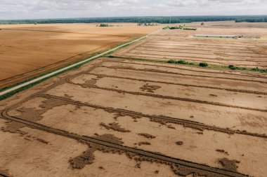 Toprak yollarla kesişen ve ufukta orman ve kule olan uzak bir yapıya giden tarlalar hasat edildi..