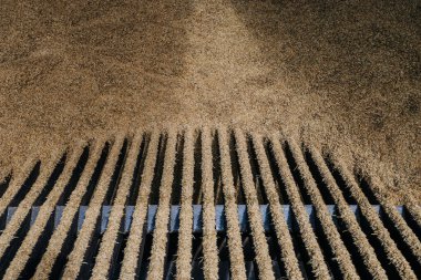 Eşit aralıklarla döşenmiş metal bir ızgaraya yakından bakmak kısmen altın kahverengi tahılla kaplıdır. Bu da tarımsal ya da işleme ortamı olduğunu gösterir..