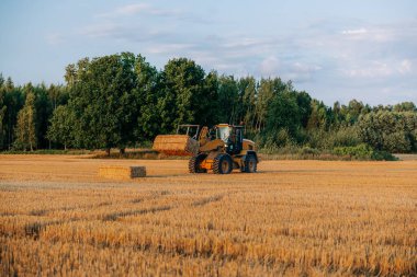 Büyük bir makine, altın sakallı hasat edilmiş bir tarlada dikdörtgen bir saman balyasını kaldırır. Uzun ağaçlar, sıcak gün ışığı altında doğal bir sınır oluştururlar..