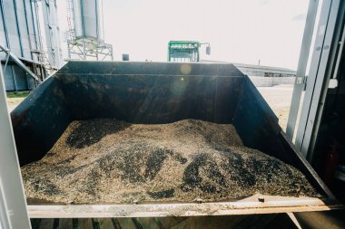 Büyük metal bir kap güneş ışığı altında mercek fişekleri ile tahıl tutar. Yakınlarda silolar, endüstriyel ekipmanlar ve açık havada yeşil bir tarım aracı var..