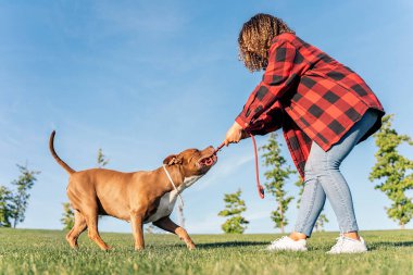 Tanınmayan bir kadın parkta safkan köpeğiyle oynuyor ve eğleniyor..