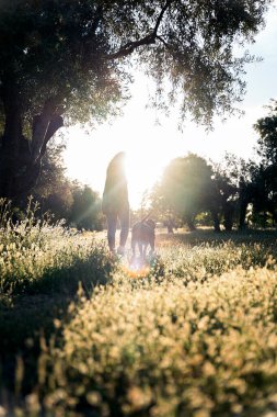 Tanımlanamayan bir kadın akşam vakti parkta köpeğiyle yürüyor ve oynuyor..