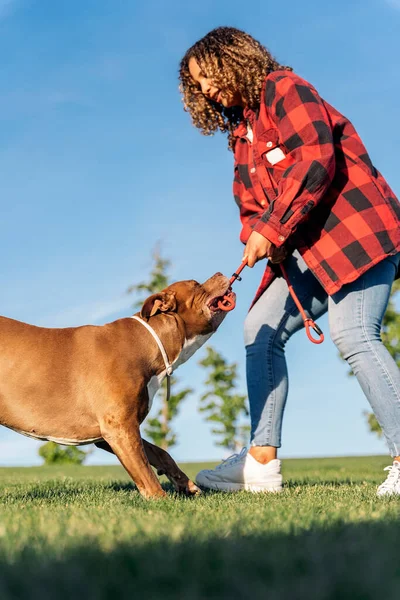 Mulher Não Reconhecida Brincando Parque Com Seu Cachorro Raça Pura — Fotografia de Stock