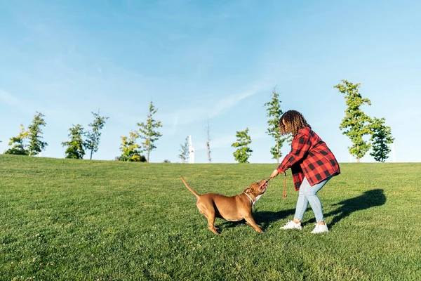 Unrecognized Woman Playing Park Her Purebred Dog Having Fun — Stock Photo, Image