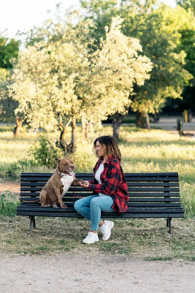 Young Woman Curly Hair Sitting Park Petting Her Purebred Dog — Stock Photo, Image