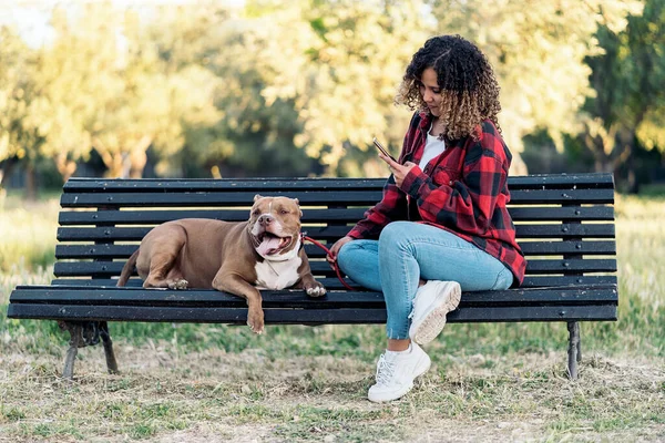 Young Woman Curly Hair Sitting Park Petting Her Purebred Dog — Stock Photo, Image