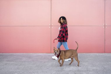 Kıvırcık saçlı genç siyahi kadın köpeğini gezdiriyor ve eğleniyor..
