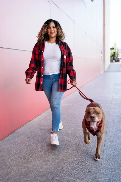 Mulher Negra Feliz Com Cabelo Encaracolado Andando Seu Cão Rua — Fotografia de Stock