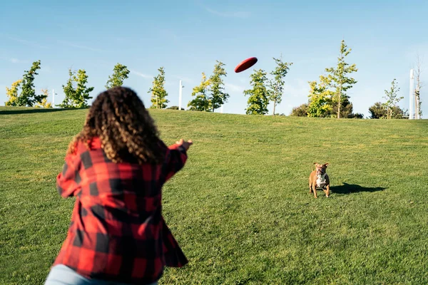 Mujer Reconocida Jugando Con Perro Con Frisbee Parque —  Fotos de Stock