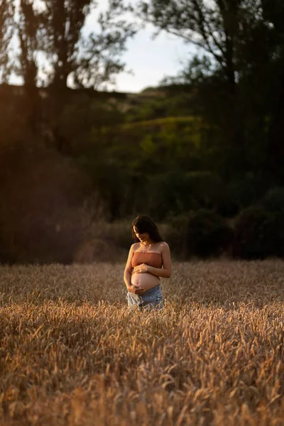 Mujer Embarazada Pie Campo Trigo Toca Vientre Mira Hacia Lado — Foto de Stock