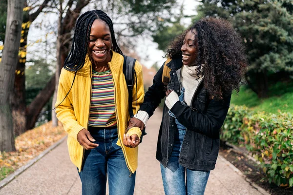 Stock photo of black students walking and laughing in the park.