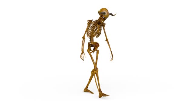 Rendering Skeleton Walking Face — Stockvideo