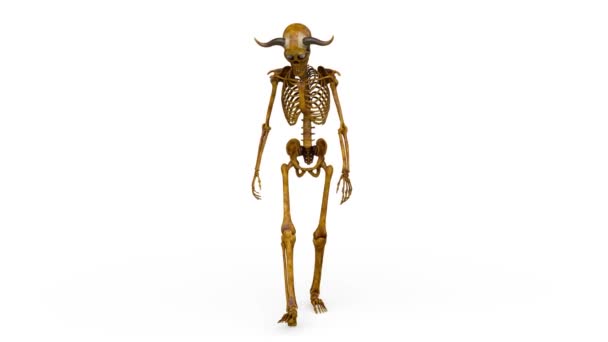 Rendering Skeleton Walking Face — Stok Video