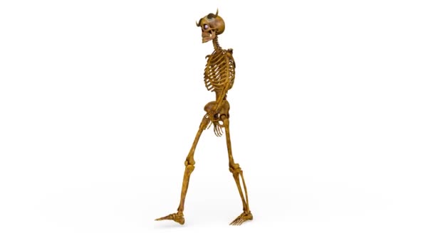 Darstellung Eines Wandelnden Skeletts — Stockvideo