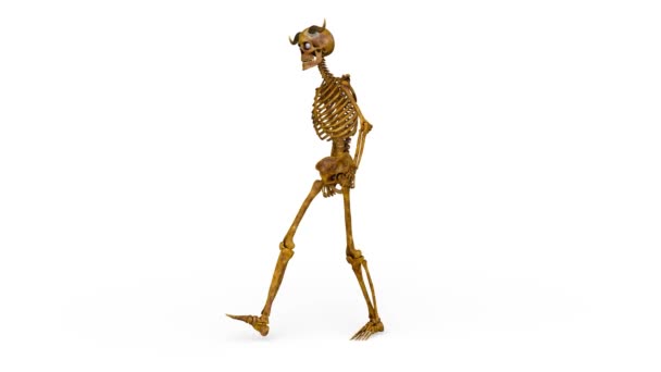 Representación Esqueleto Caminante — Vídeos de Stock
