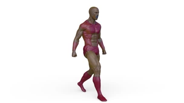 Rendering Walking Muscle Hero — 비디오
