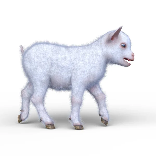 Representación Una Cabra — Foto de Stock