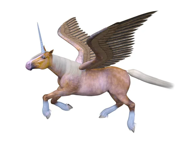Bir Pegasus Boyutlu Canlandırması — Stok fotoğraf