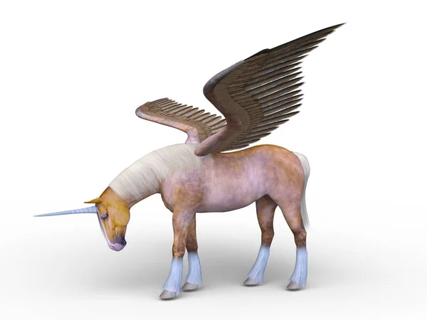 Pegasus Ábrázolása — Stock Fotó