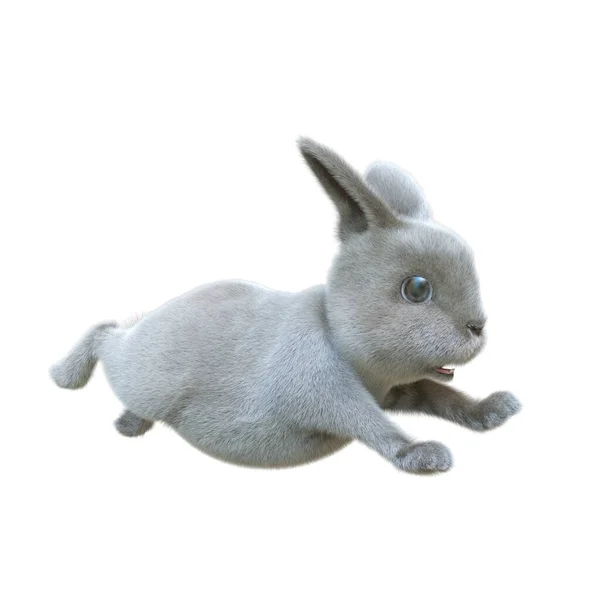 ウサギの3Dレンダリング — ストック写真