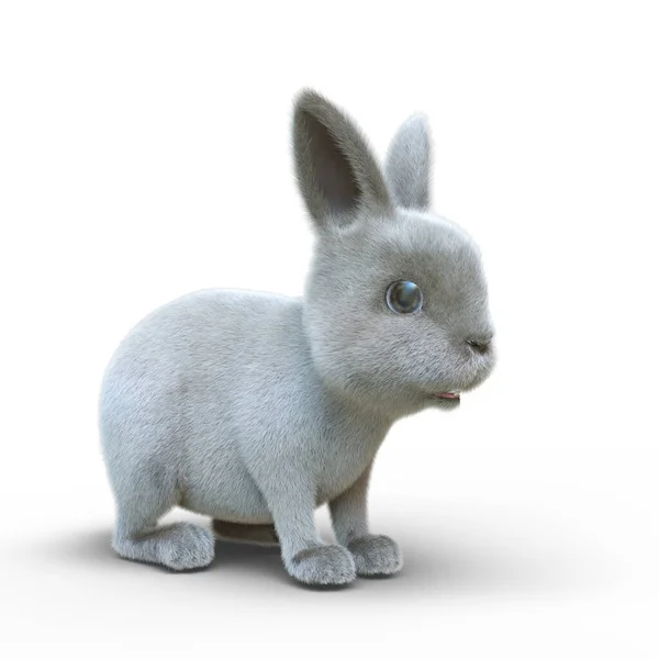 兔子的3D渲染 — 图库照片