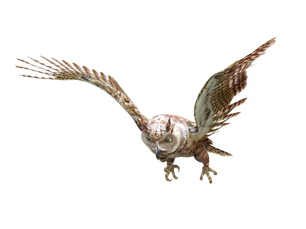 Rendering Long Eared Owl — Stock Photo, Image