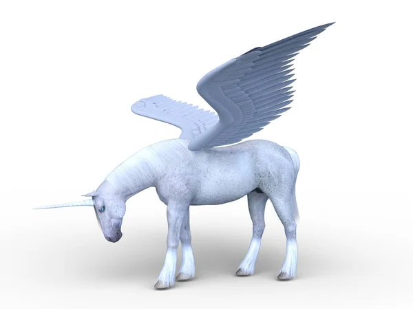 Pegasus Ábrázolása — Stock Fotó