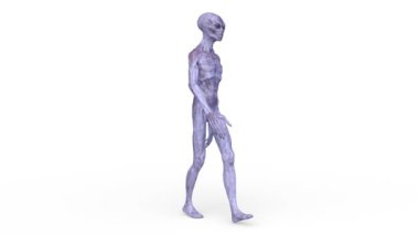 3D rendering of a walking male alien