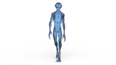 3D rendering of a walking male alien