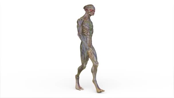 Візуалізація Чоловіка Інопланетянина Ходить — стокове відео