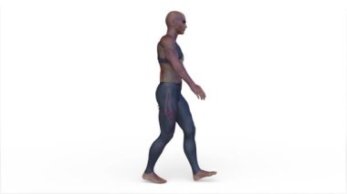 3D rendering of a walking male alien