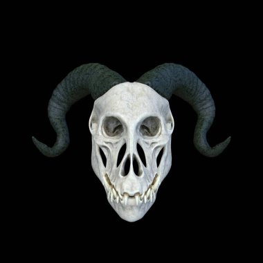 Bir canavar kafatasının 3 boyutlu canlandırması