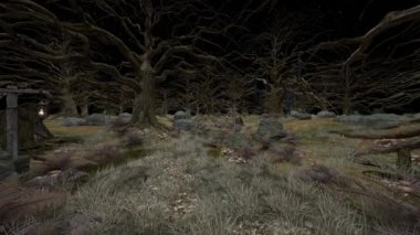 3D rendering of the forest