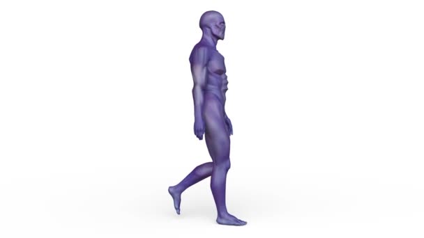 Representación Una Imagen Hombre Caminante — Vídeos de Stock