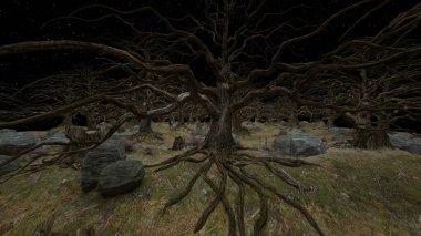 Ormanın 3 boyutlu canlandırması