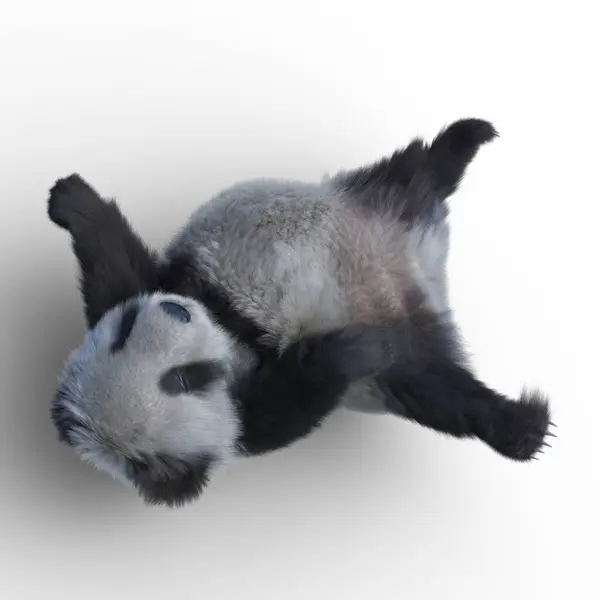 Renderização Panda Gigante — Fotografia de Stock