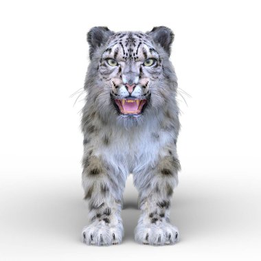 Kar leoparının 3B görüntüsü