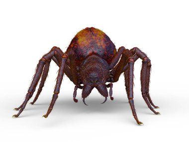 Bir örümceğin 3 boyutlu görüntüsü