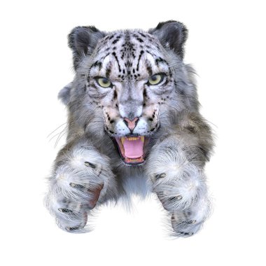 Kar leoparının 3B görüntüsü