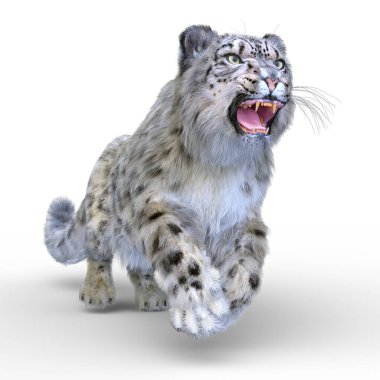 Kar leoparının 3B görüntüsü