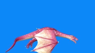 Bir Pterosaur 'un 3B canlandırması