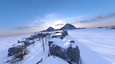 3D rendering of the snow field
