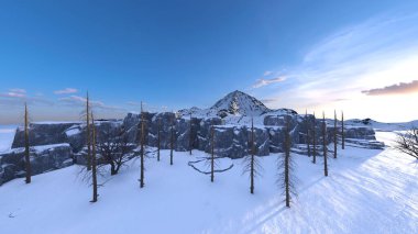 3D rendering of the snow field